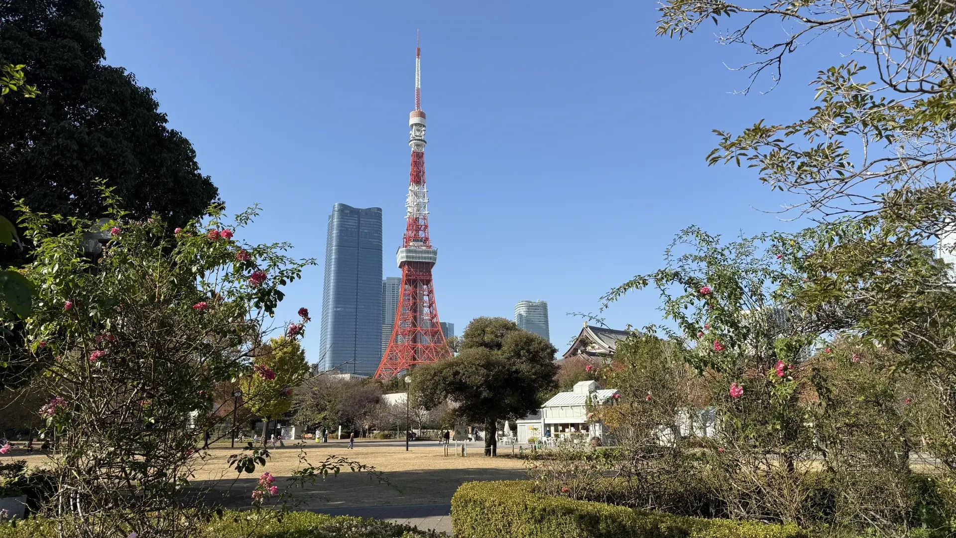 Een zonovergoten blik op de Tokyo Tower vanuit Shiba Park, waar ik de downloadsnelheden en routing van 15 eSIM-providers testte