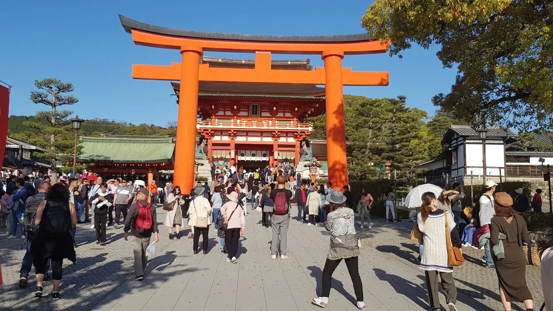 Drommen toeristen lopen richting de beroemde oranje torii-poorten bij de ingang van de Fushimi Inari Taisha-schrijn in Kyoto, Japan