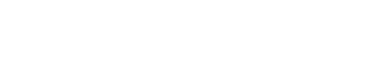 reissim.nl